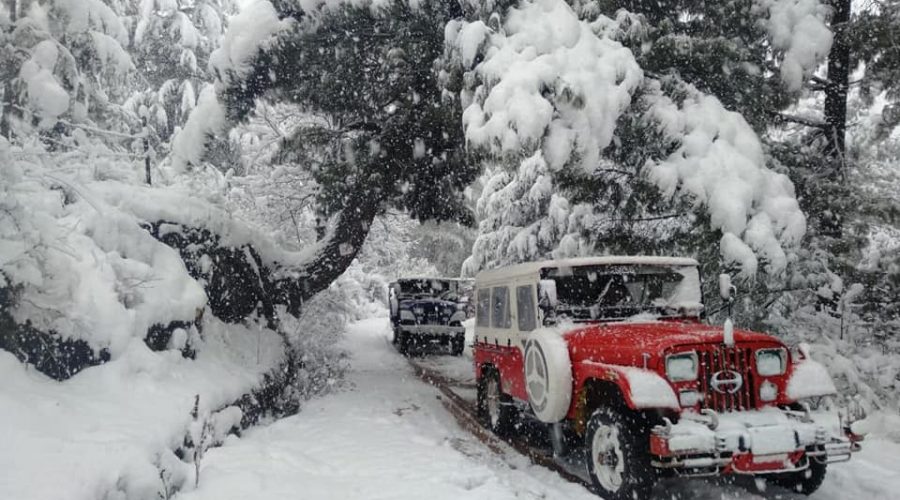 Shogran Valley