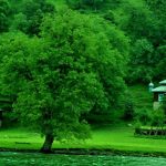 Keran: Jewel of Neelum Valley